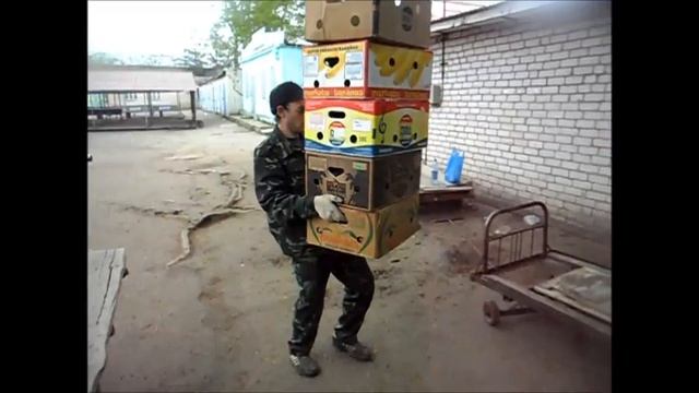 GAchA : Грузчик Реальный Мужик (Музыкальный Видеоклип)