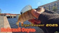 МАЙСКИЙ ГОРОДСКОЙ ОКУНЬ ЭТО ПРОГУЛКА СО СПИННИНГОМ ПО ГОРОДУ ПОЛУЧИЛАСЬ КАК КАРДИО ТРЕНИРОВКА ФИТНЕС