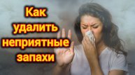 КАК БЫСТРО УДАЛИТЬ ЗАПАХ МОЧИ. А ТАКЖЕ ЗАПАХИ КОШЕК И СОБАК. ЛАЙФХАК.