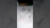 Рисунки по клеточкам!