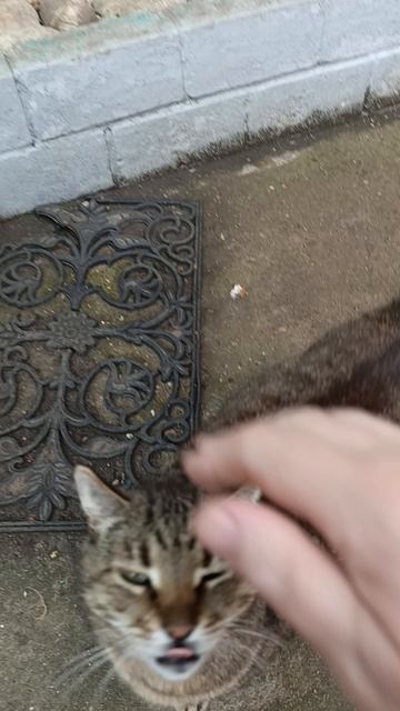 1000002938.mp4