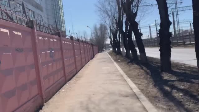 Ежедневная беговая тренировка || Готовимся побеждать на Московском марафоне 2025 :)