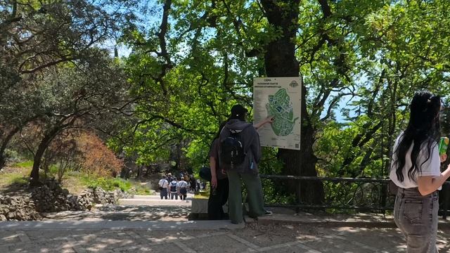 Никитский Ботанический сад 2.05.2025 часть1