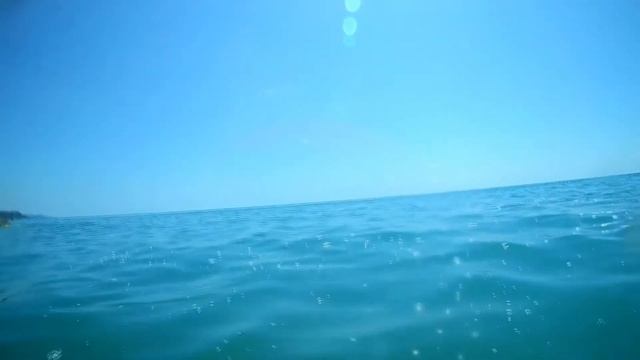 Дельфин с нами🐬