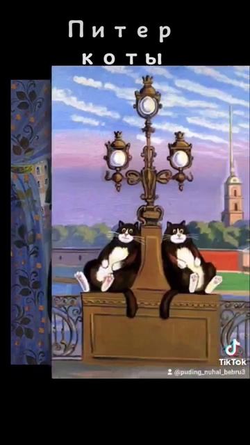 Питер и коты #2023 #топ #рек #россия #врек #подпишись #вреки #питер #небо #кошки