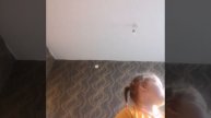VID-20250428-WA0005.mp4