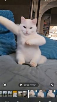 hhfjggmmfdhfhlf