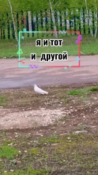 "Я и тот, и другой..!")