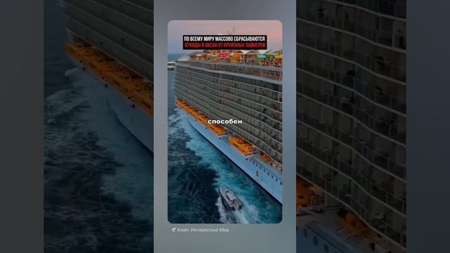 Экология- Мы убиваем планету !!!!