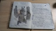 Книга драконов ночная фурия