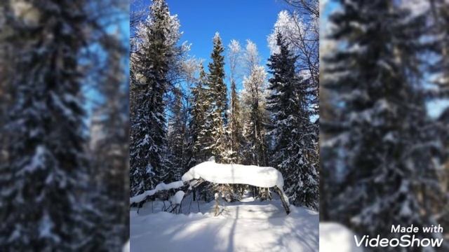 Красота природы