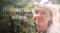 НОВОРОССИЙСК ВЕСНОЙ ПРЕКРАСЕН, НАБЕРЕЖНАЯ, ПАМЯТНИКИ, ПАРК