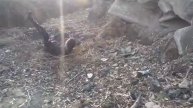 Мой друг делает арабское сальто через речку