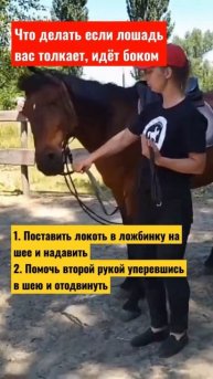 🏇 Верховая езда легко / лошадь идёт боком на вас
