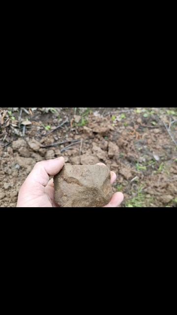 Находки с металлоискателем Нашли кусок метеорита.