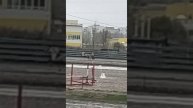 еду с мамой на ипподром