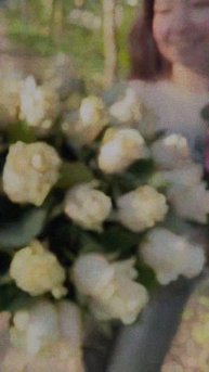 Шикарные розы 🌹🌹🌹