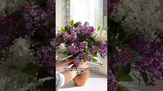 Что несёт май 2025