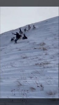 Не смотреть слабонервным!!! Лавина козлов и Сноубордер