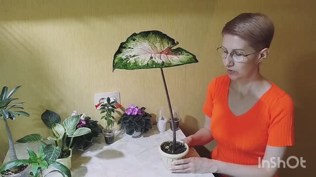 1000004459.mp4