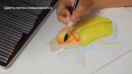 Рисуем жука карандашами KOH-I-NOOR Progresso