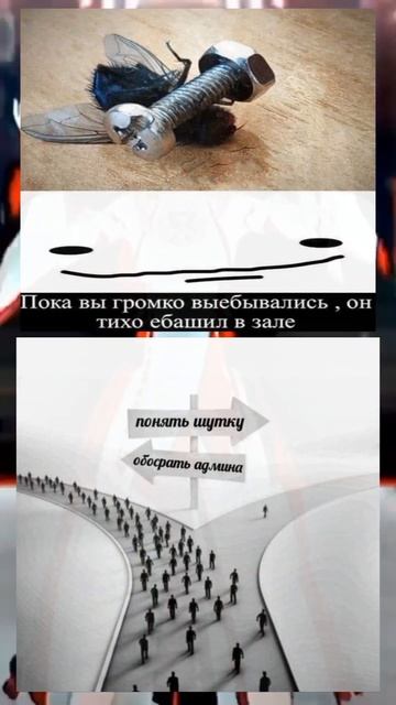 Мемы 111