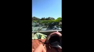Нереальная красота! Лотосовые поля на раскатах Волги