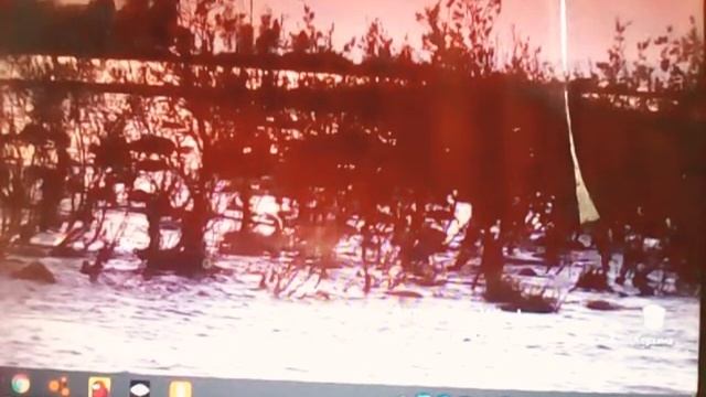 Той ник в брарл старс (топ)пупози