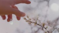 Прошу тебя, не уходи.