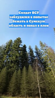 Солдат ВСУ заблудился в попытке бежать в Сумскую область и попал в плен