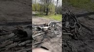 Хождение по парку в Красносельском районе, природа и погода 2 мая 2025