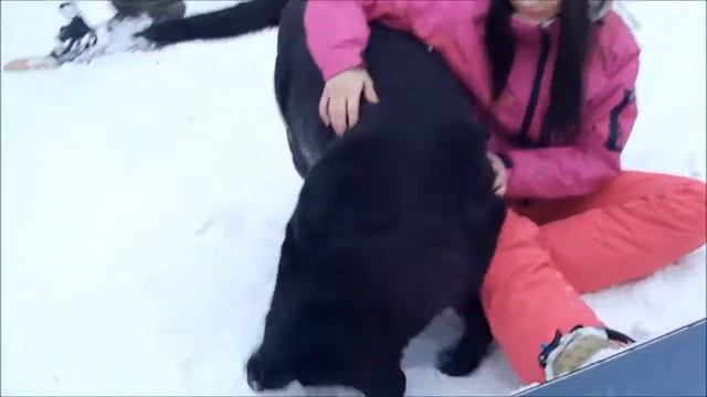 Спин спорт 02.2015.
