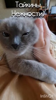 Тайкины нежности)
