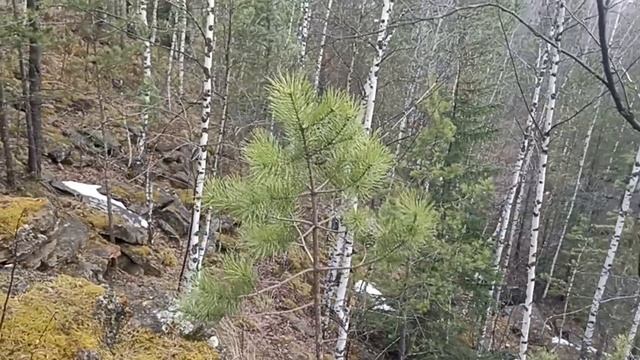 Каньон.
