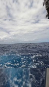 Жуткие создания тьмы: что скрывается в бездонных глубинах океана