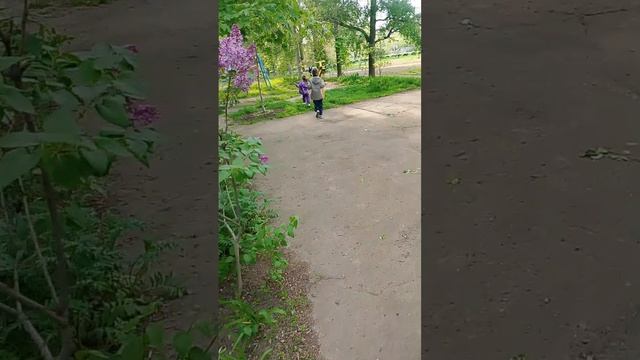Комарики на прогулке.