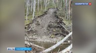 В Башкортостане сошел оползень: на реке Большой Инзер образовался завал деревьев
