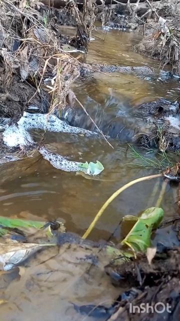 Звуки природы .Магия воды. Релакс.