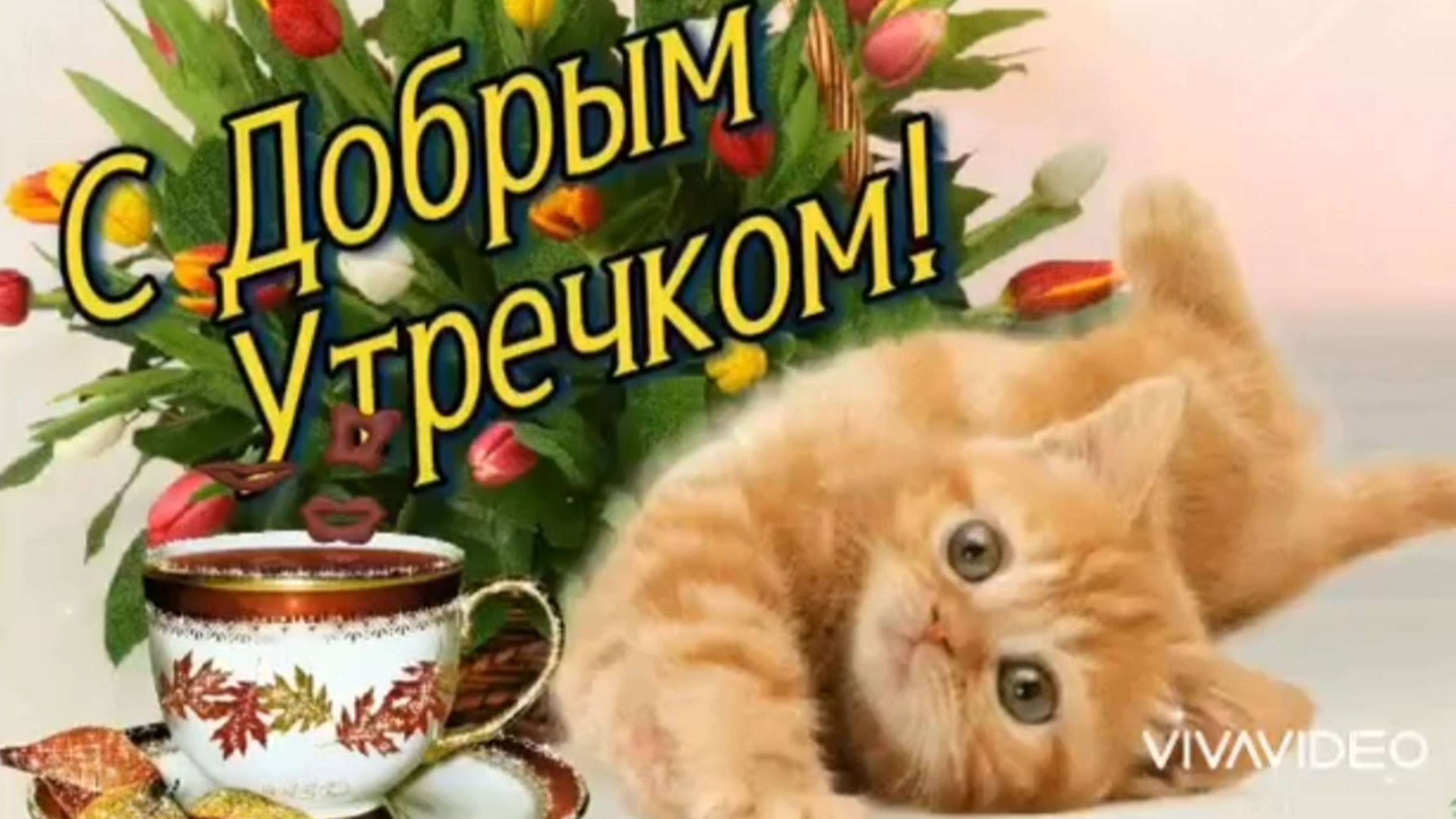 Пожелание доброго утра и замечательного настроения