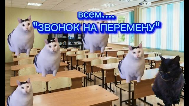 ТИПИЧНЫЙ ДЕНЬ В МОЕЙ ШИЗЕ С ЗАПЯТОЙ