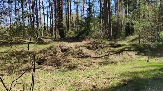 Приятное с полезным...🌿 Гуляем и вяжем...🌲🌲🌲