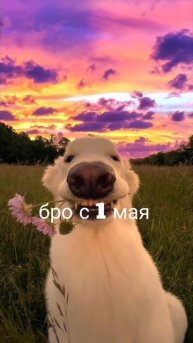 С прошедшим 1 маем!