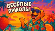 Смех до слёз: лучшие приколы №136