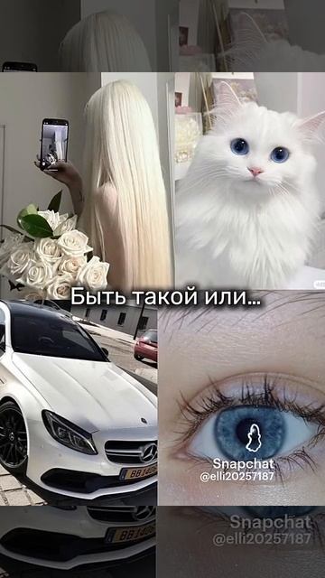 быть блондинкой или быть брюнеткой?)⚪🟤