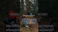 Младший ребенок
