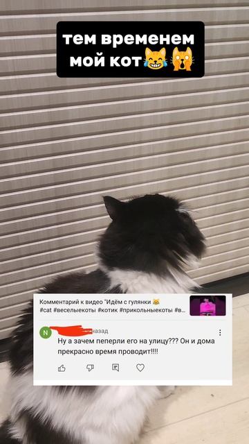 Ответы на комментарии 😹