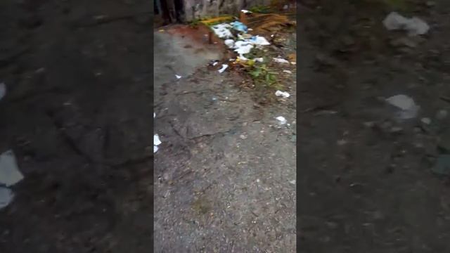 Начало заброшки серия не помню какая