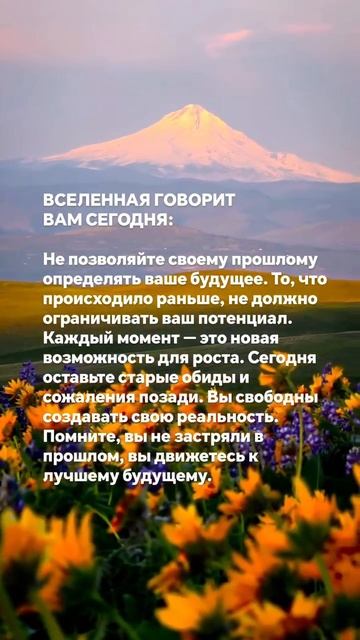 БЛАГОДАРЮ