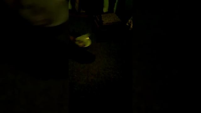 Прикольная собака 😂😂😂😂