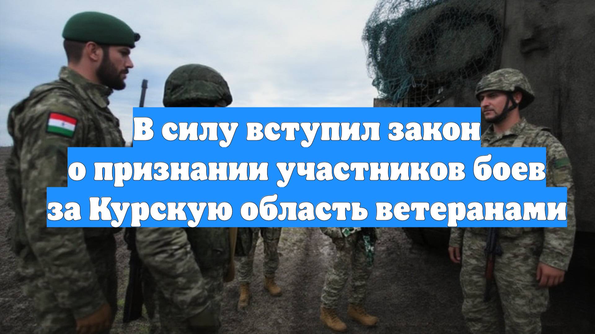 В силу вступил закон о признании участников боев за Курскую область ветеранами